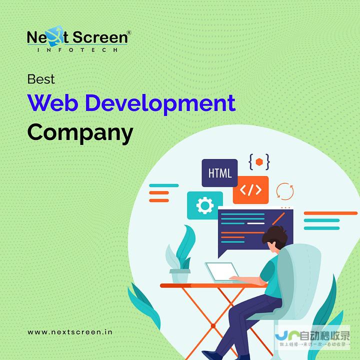 网络开发公司