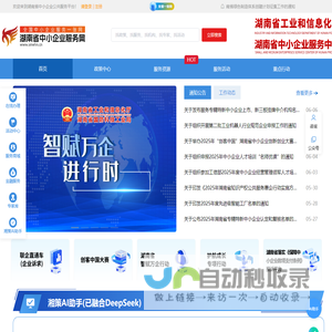 湖南省中小企业公共服务平台